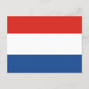 Flag of the Netherlands Postcard