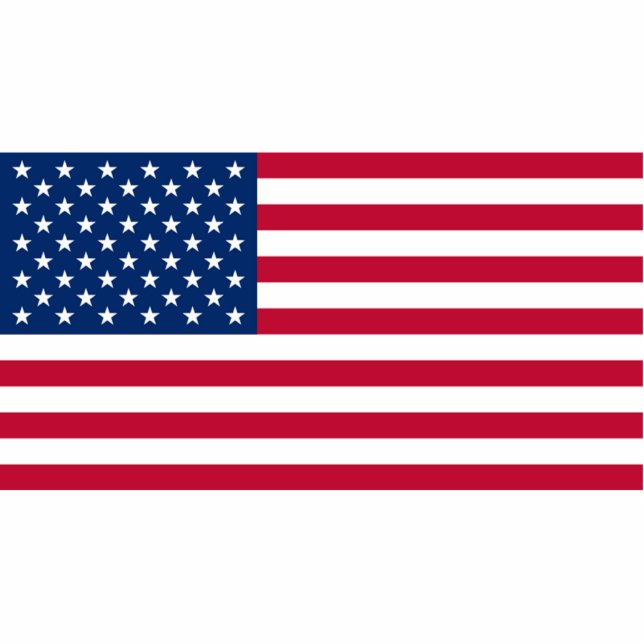 Flag of The United States Cutout (Front)
