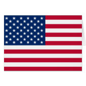 Flag of the United States of America (Front Horizontal)