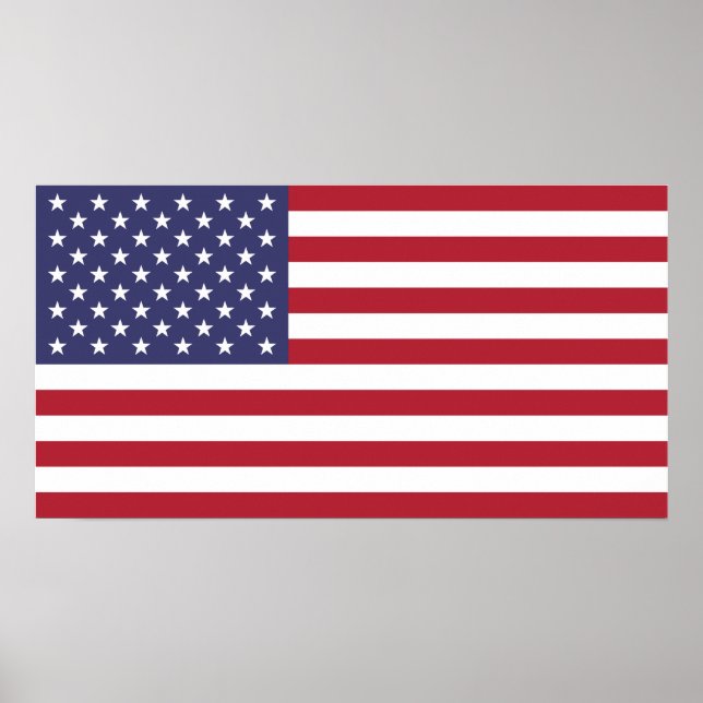 Flag of The United States Of America Small Poster (Front)