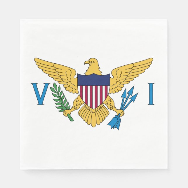 Flag of the United States Virgin Islands Napkins (Front)