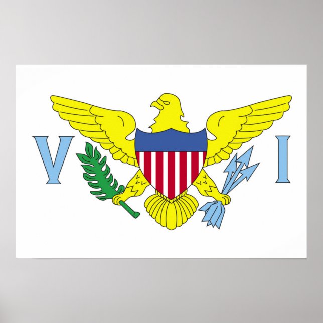 Flag of the United States Virgin Islands Poster (Front)