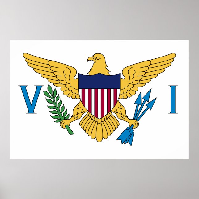 Flag of the US Virgin Islands Poster (Front)