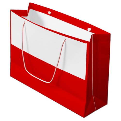 Flag of Thuringia Large Gift Bag