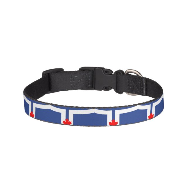 Flag of Toronto, Ontario Pet Collar (Front)