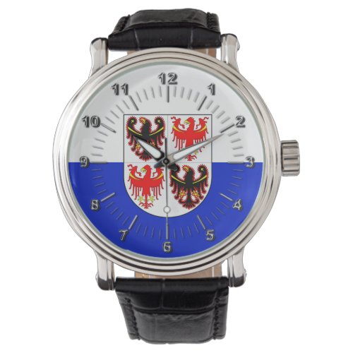 Flag of Trentino Alto Adige Italy   Watch