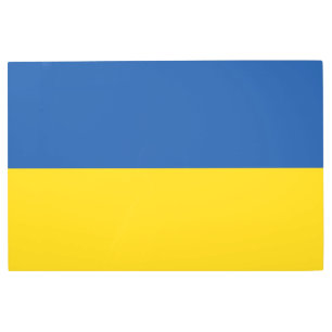 Flag of Ukraine Button Metal Print