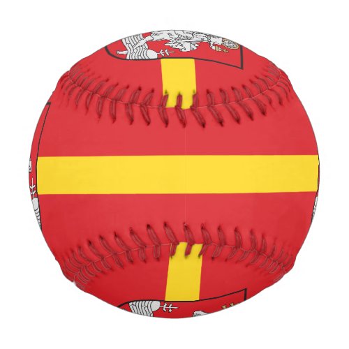 Flag of Vilnius Lithuania Baseball