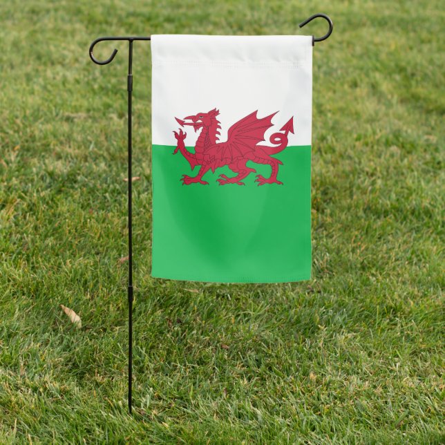 Flag of Wales (Cymru) (In SItu)
