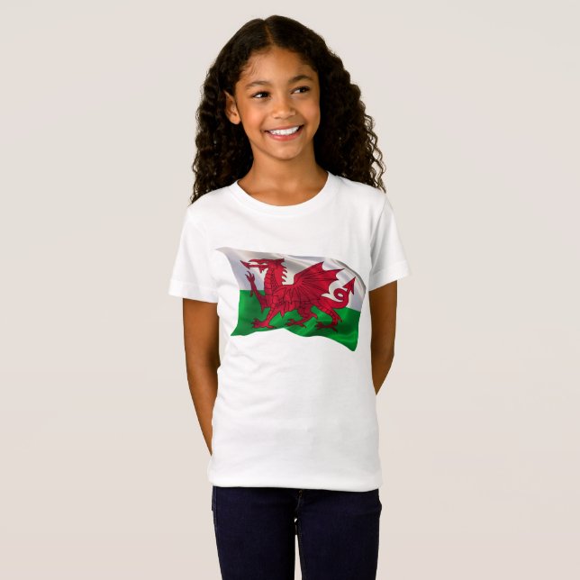 Flag of Wales T-Shirt (Front Full)