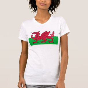Flag of Wales - The Red Dragon - Baner Cymru T-Shirt