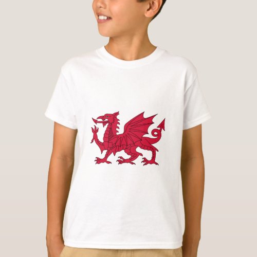 Flag of Wales _ The Red Dragon _ Baner Cymru T_Shirt