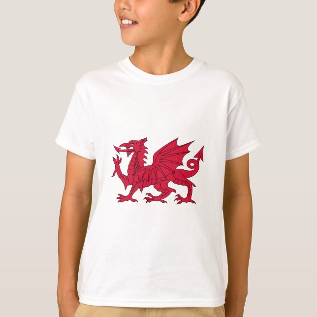 Flag of Wales - The Red Dragon - Baner Cymru T-Shirt (Front)