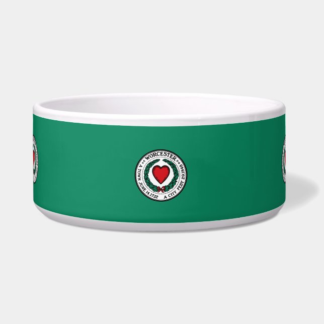 Flag of Worcester, Massachusetts  Bowl (Front)