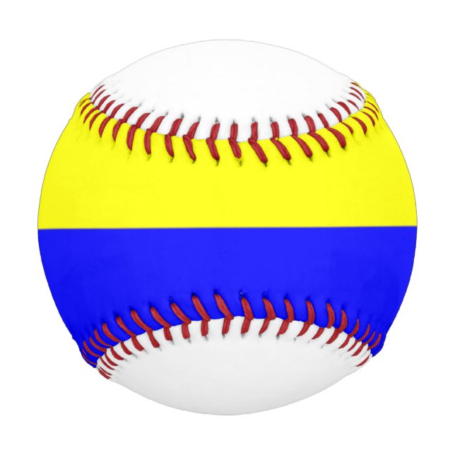 Flag of Zandvoort Baseball (Front)