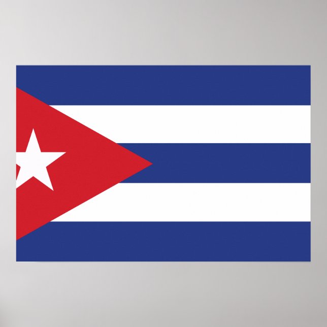 flag poster (Front)