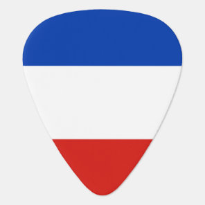 Flag Schleswig-Holstein Guitar Pick