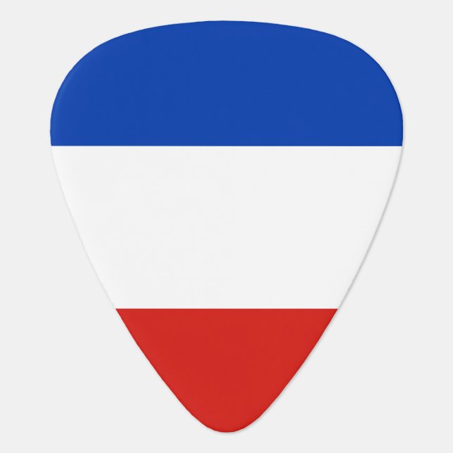 Flag Schleswig-Holstein Guitar Pick (Front)