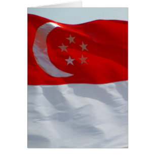 flag singapore