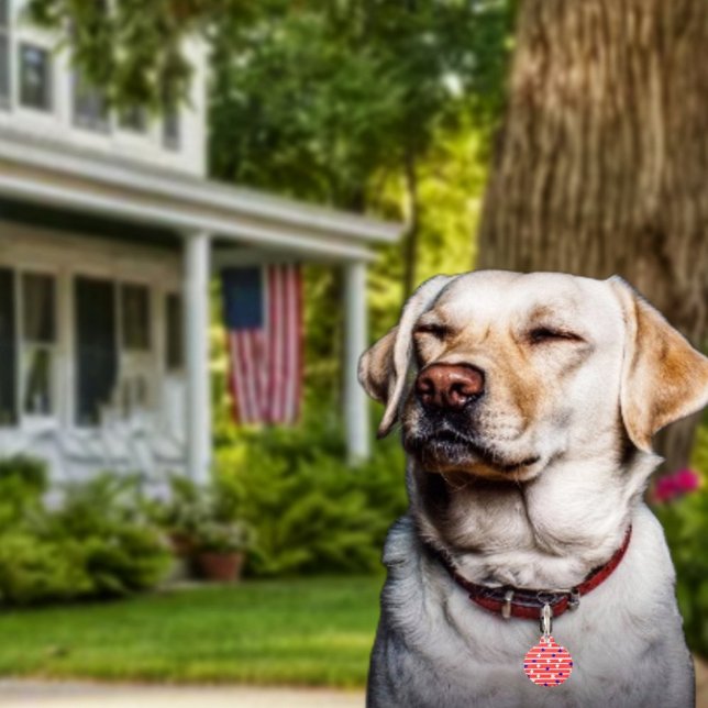 Flag Stars  Pet ID Tag (Get Fido in on the patriotic fun, with his or her own Flag Stripes Pet ID Tag!)