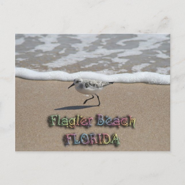 Flagler Beach Postcard (Front)