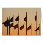 Flags at Sunset I American Patriotic USA