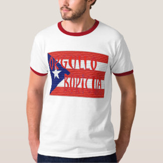 Flags in bricks T-Shirt