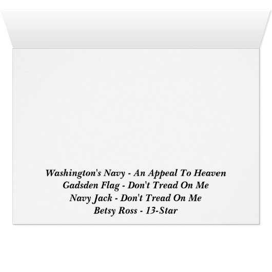 Flags Of The American Revolution (Inside Horizontal (Bottom))