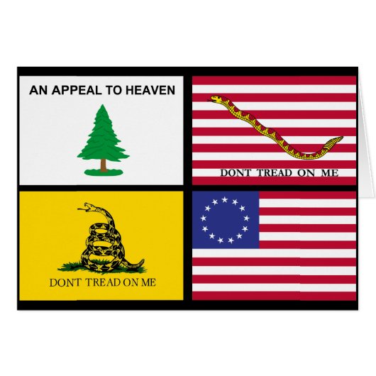Flags Of The American Revolution Cards (Front Horizontal)