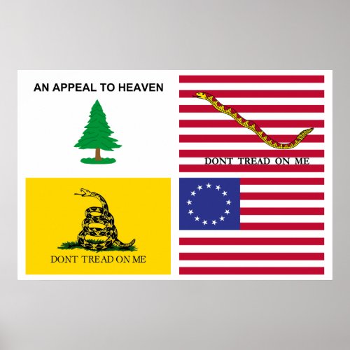 Flags Of The American Revolution Poster