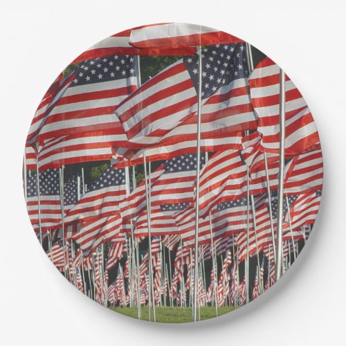 Flags Party Paper Plate
