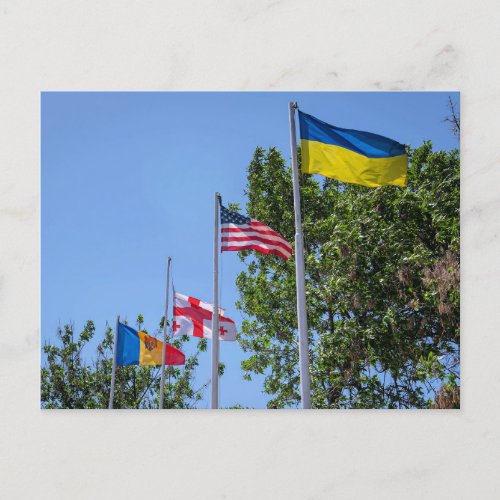 Flags Ukrainian USA Romanian and Georgian Postcard