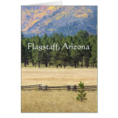 Flagstaff, Arizona colorful field (Front)