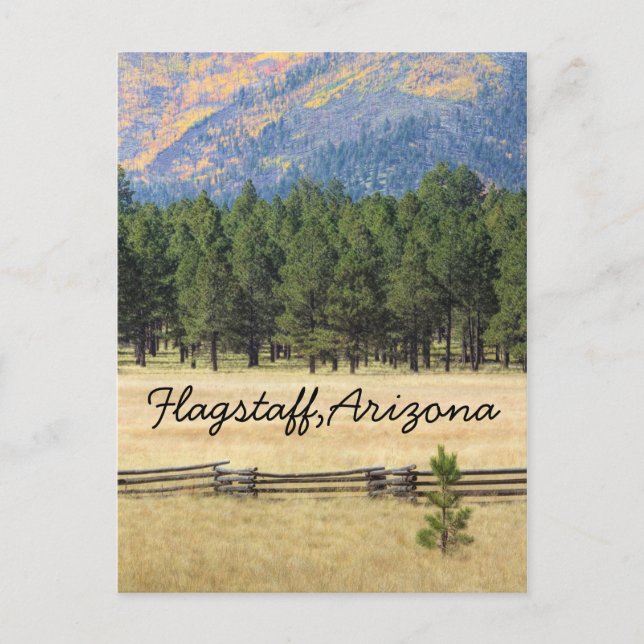 Flagstaff, Arizona colorful field Postcard (Front)