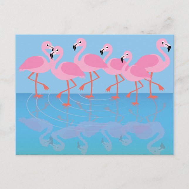 Flamboyance of Flamingos Postcard (Front)