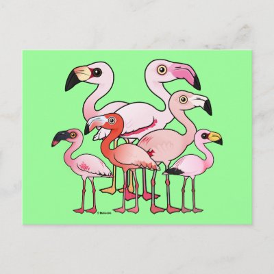 Flamboyance Postcard