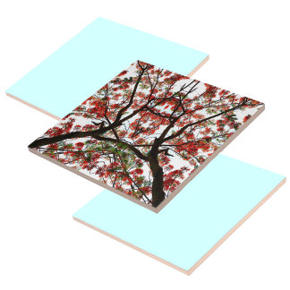 Flamboyant Royal Poinciana Tree Ceramic Tile