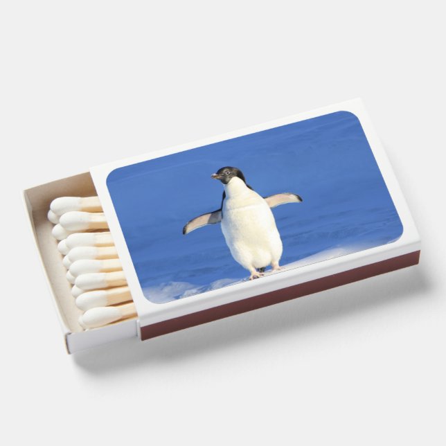 Flame & Aesthetic Unique Matchboxes (Front Open)