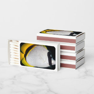 Flame & Aesthetic Unique Matchboxes