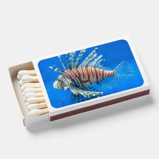 Flame & Aesthetic Unique Matchboxes (Front Open)