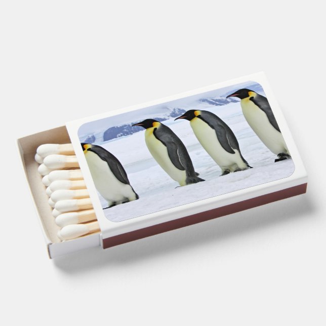 Flame & Aesthetic Unique Matchboxes (Front Open)