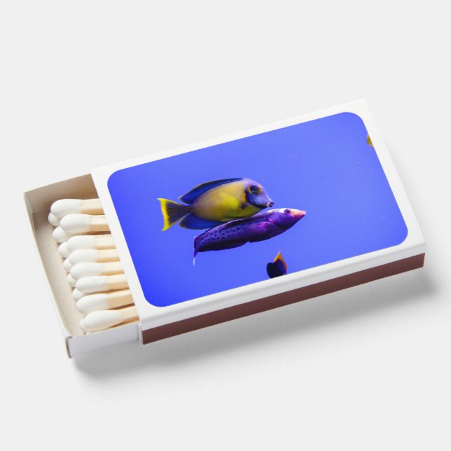 Flame & Aesthetic Unique Matchboxes (Front Open)