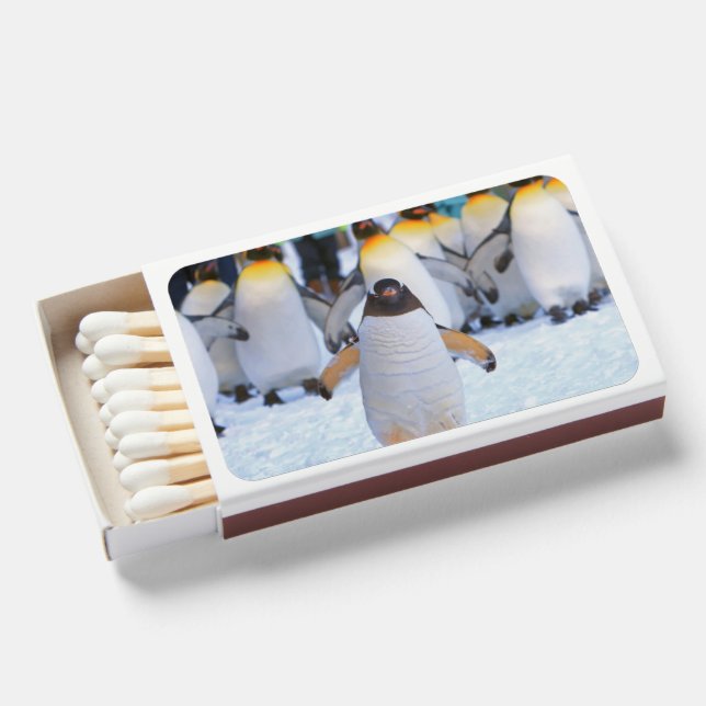 Flame & Aesthetic Unique Matchboxes (Front Open)