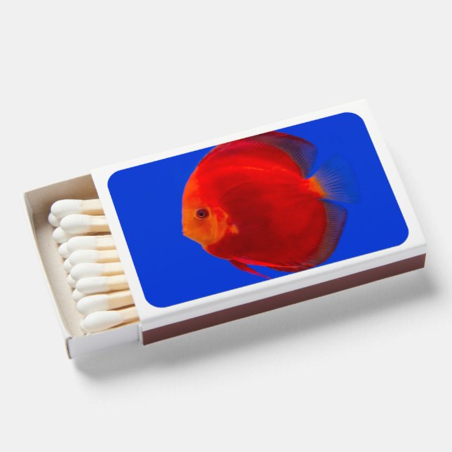 Flame & Aesthetic Unique Matchboxes (Front Open)