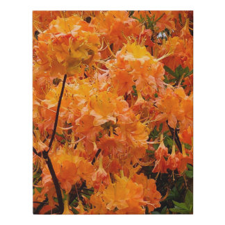Flame Azalea Flowers Faux Canvas Print