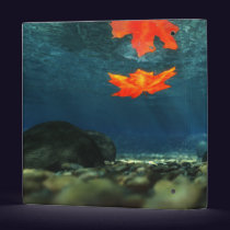 Flame in the Water Binder