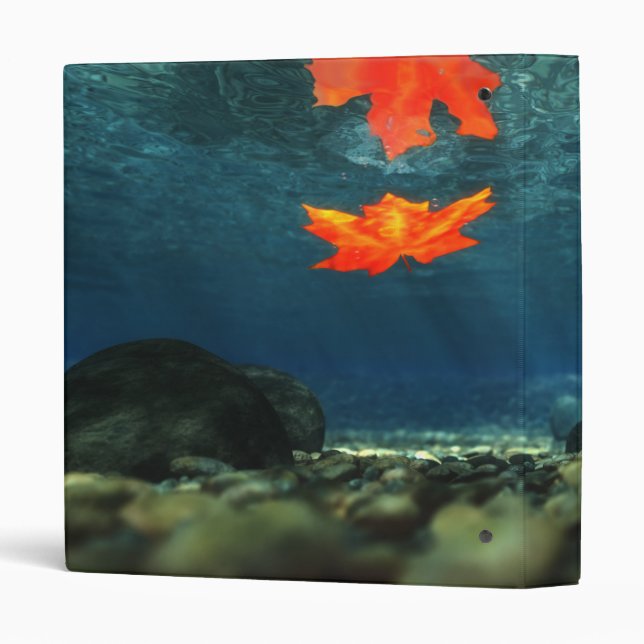 Flame in the Water Binder (Back/Spine)