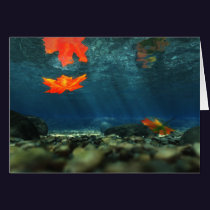 Flame in the Water Card