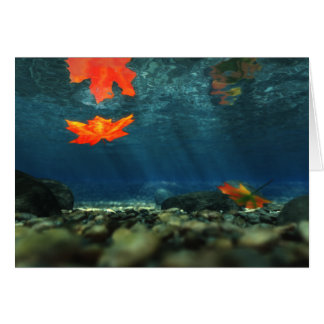 Flame in the Water Card