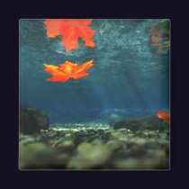 Flame in the Water Magnet